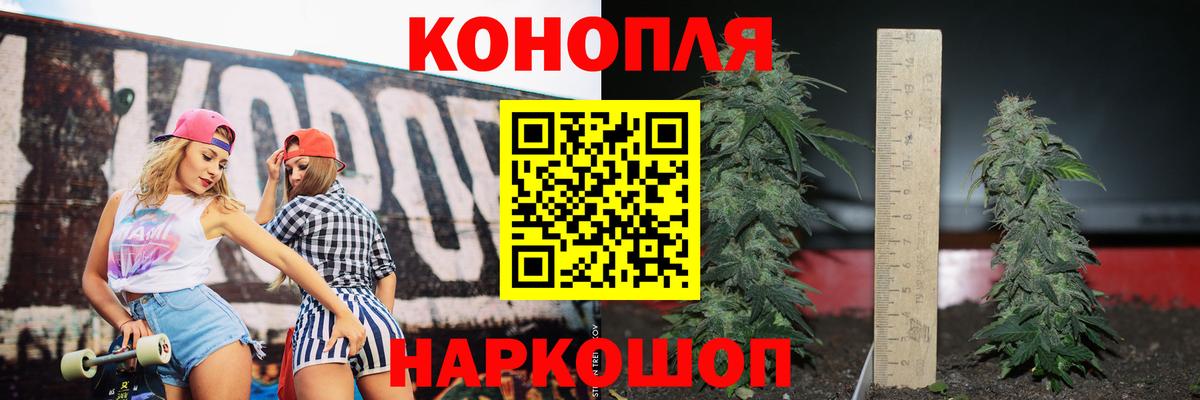 Бошки Шишки конопля Ялуторовск